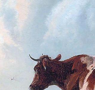 Фрагмент Cattle resting in a meadow-2