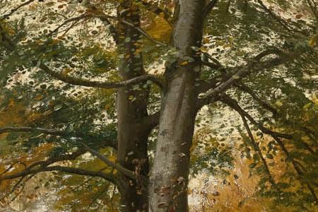 Фрагмент CHARLOTTENDUN FOREST