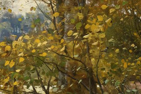 Фрагмент CHARLOTTENDUN FOREST