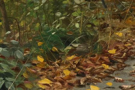 Фрагмент CHARLOTTENDUN FOREST