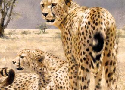 Фрагмент CHEETAHS, фрагмент