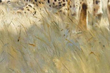 Фрагмент CHEETAHS