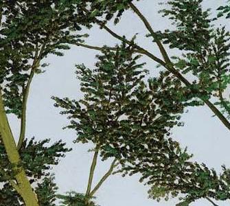 Фрагмент CHEMIN DE HALAGE