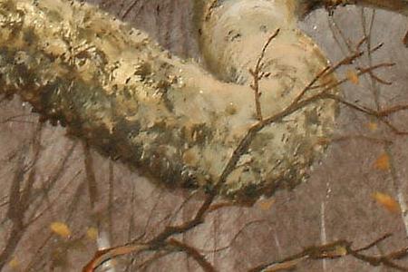 Фрагмент Черный Глухарь и Куропатка