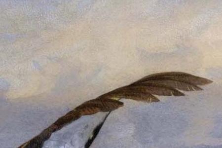 Фрагмент Черный Глухарь в горах