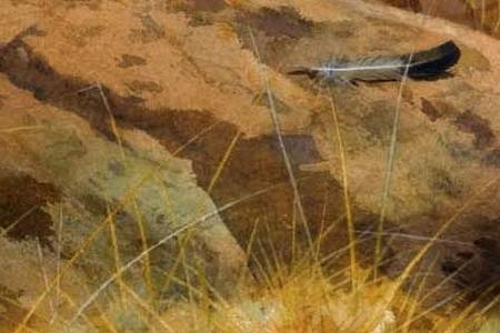 Фрагмент Черный Глухарь в горах