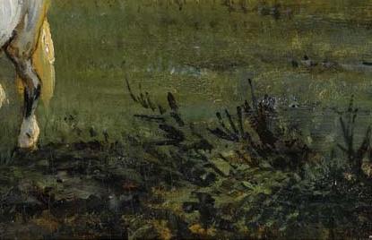 Фрагмент CHEVAL BLANC DANS UN PRE