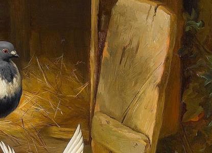 Фрагмент Chickens a dove and pigeons in a farmyard