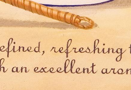 Фрагмент Chinese green  tea.