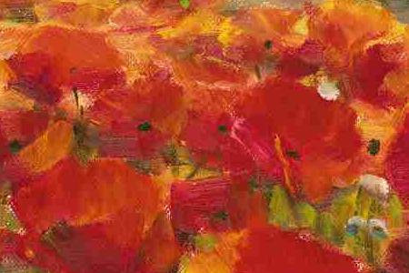 Фрагмент CLARET FIELDS