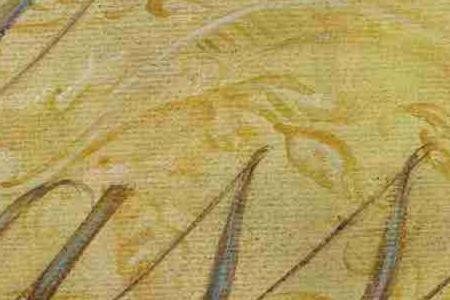 Фрагмент CLASSIKO