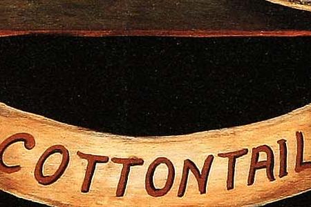 Фрагмент COTTONTAIL
