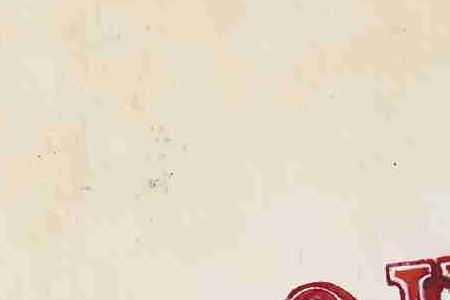 Фрагмент COUNTRY CONDIES