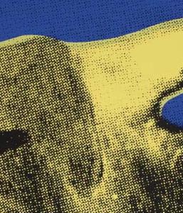 Фрагмент COW на синем