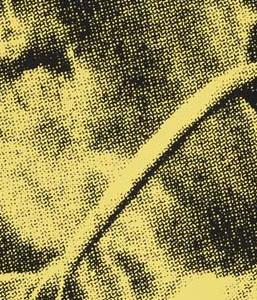 Фрагмент COW на синем