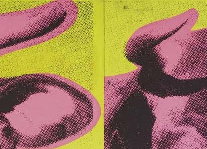 Фрагмент COW розовая пара