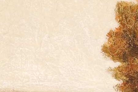 Фрагмент Cypress vista II.