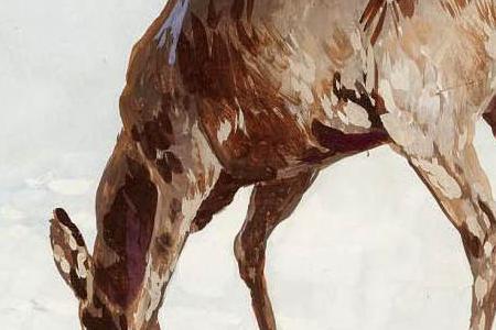 Фрагмент DEER IN THE SNOW