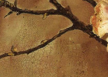 Фрагмент Декоративные цветы