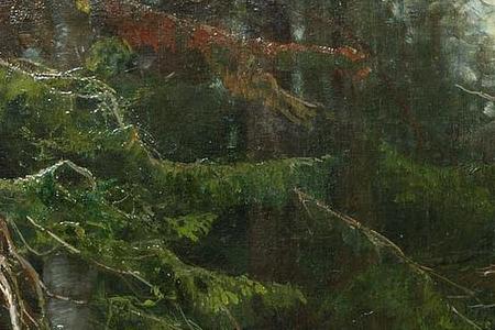 Фрагмент Девственный лес