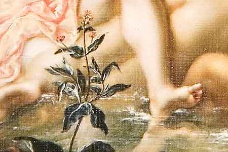 Фрагмент Diana and Actaeon.