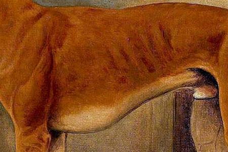 Фрагмент DODGER