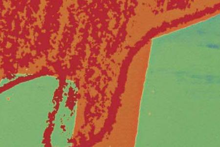 Фрагмент DOLLAR на радужном