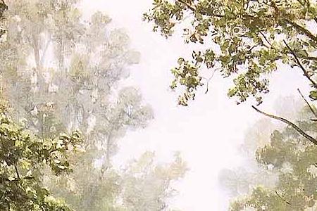 Фрагмент Дождь в дубовом лесу.1891.