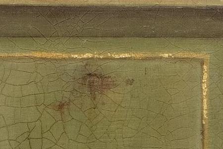 Фрагмент Dragonfly tulip.