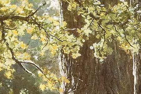 Фрагмент Дубы.1887.