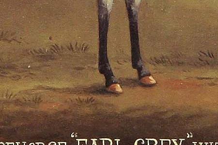 Фрагмент EARL CRAY