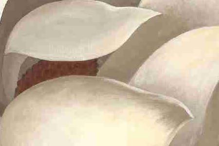 Фрагмент Элегантный цветок 1