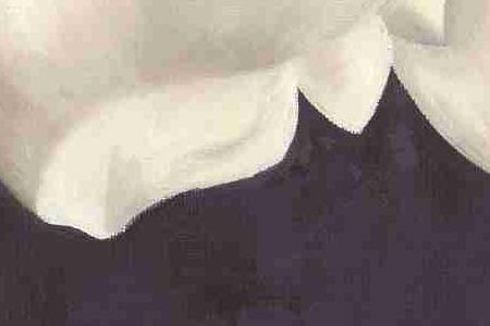 Фрагмент Элегантный цветок 2