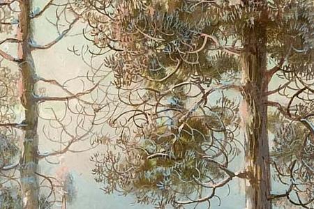 Фрагмент Ели в снегу