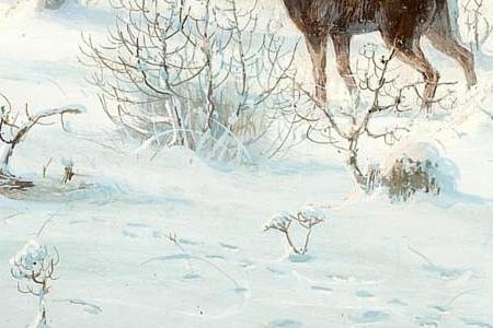 Фрагмент Ели в снегу