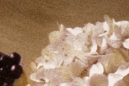 Фрагмент Estate hydrangeas.