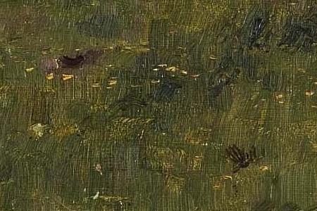 Фрагмент FARM BUILDINGS NEAR MAJORI