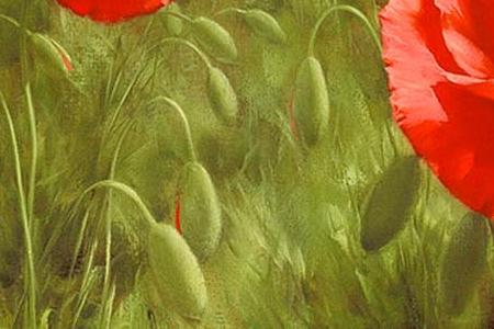 Фрагмент Field of Poppies