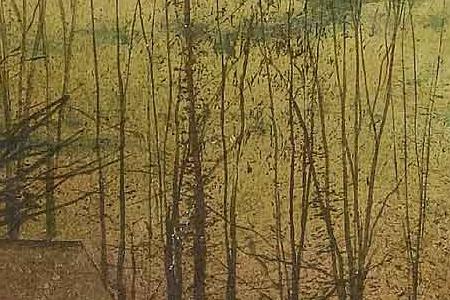 Фрагмент Figure on a moonlit lane