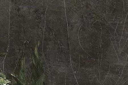 Фрагмент Fleurs