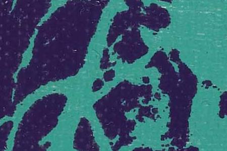 Фрагмент FLOWERS бирюзовые на синем фоне