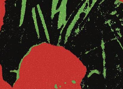 Фрагмент FLOWERS бордовые цветы