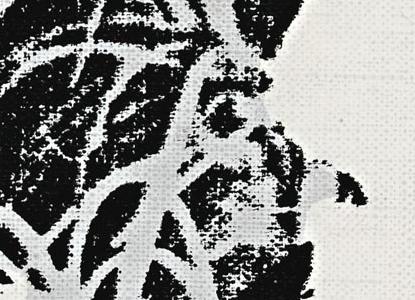 Фрагмент FLOWERS четыре белвх цветка