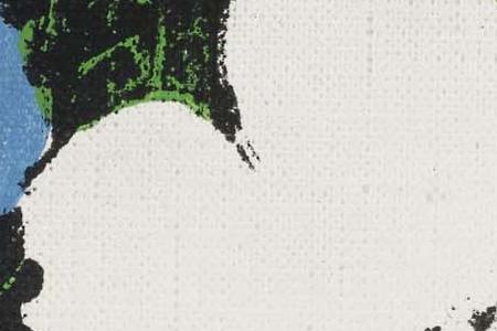 Фрагмент FLOWERS два белых два голубых