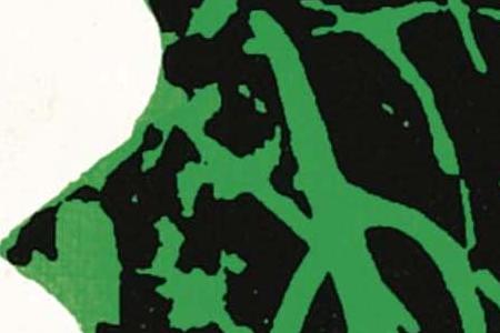 Фрагмент FLOWERS два гряхно-розовых белый и синий