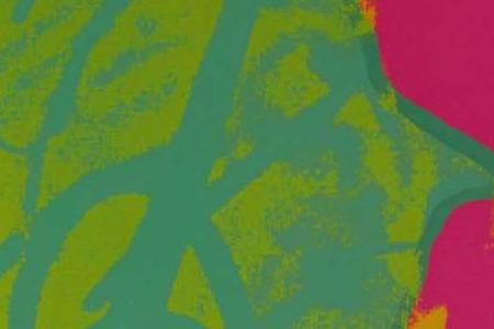 Фрагмент FLOWERS малиновый, желтый, и два сиреневых