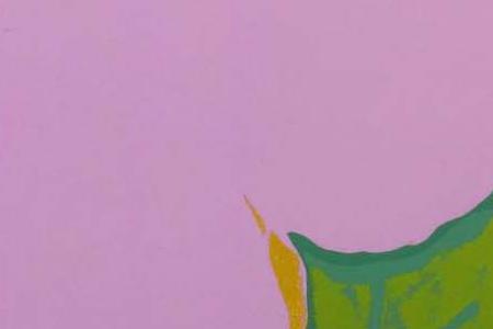 Фрагмент FLOWERS малиновый, желтый, и два сиреневых