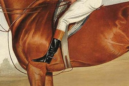 Фрагмент Flying Fox