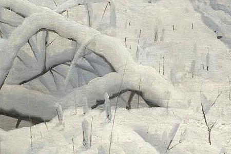 Фрагмент FOREST IN WINTER