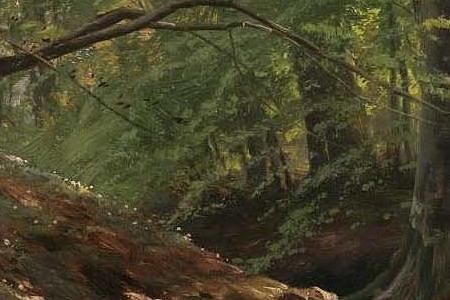 Фрагмент Forest Stream